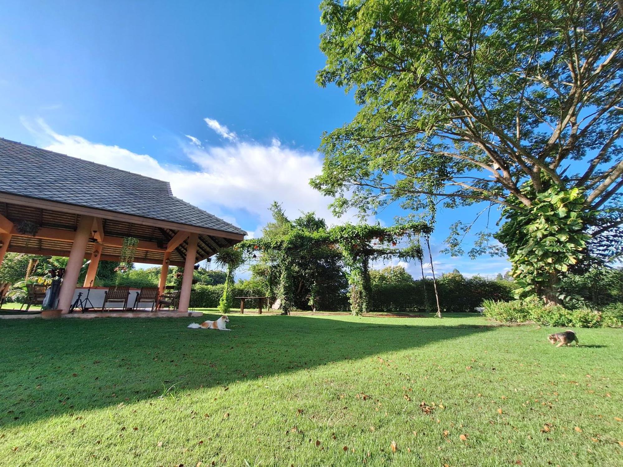 Chalala Tropical Villa With 18M Natural Swimming Pool - Chiang Mai, Chiang Mai