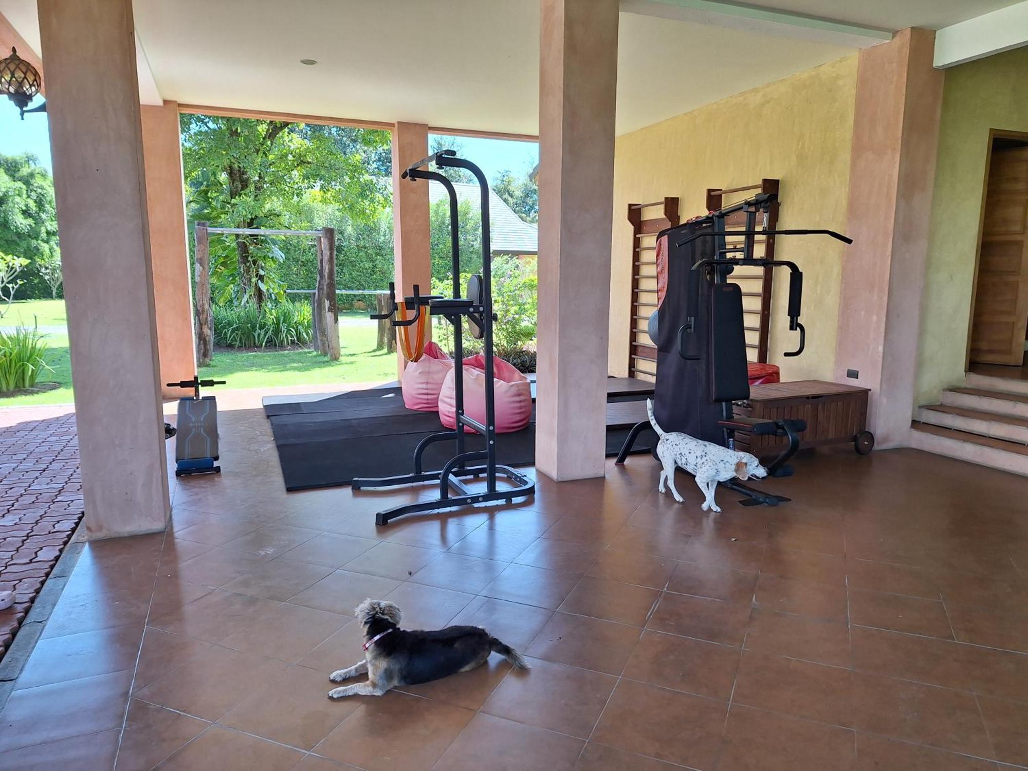 Chalala Tropical Villa With 18M Natural Swimming Pool - Chiang Mai — Photos 3